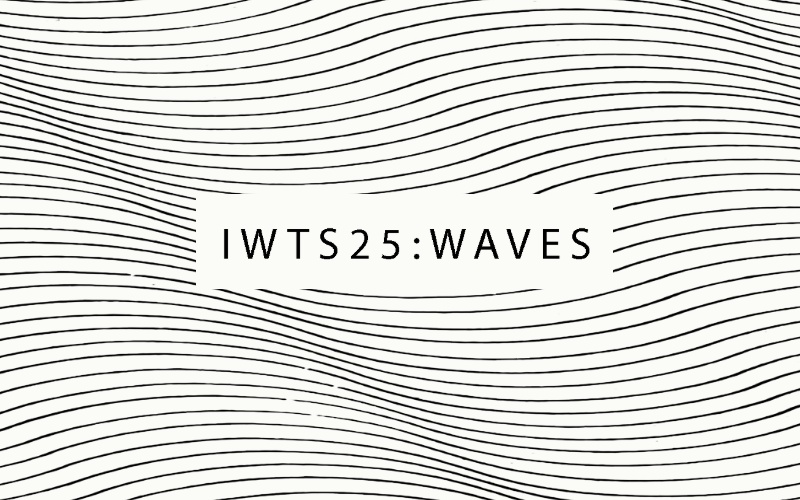 International Workshop in Theory and Sound 2025