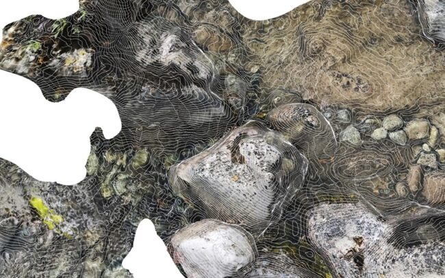 Πρόσκληση εκδήλωσης ενδιαφέροντος – Blended Intensive Programme: QueerrRing Ecologies Πρόσκληση εκδήλωσης ενδιαφέροντος – Blended Intensive Programme: QueerrRing Ecologies